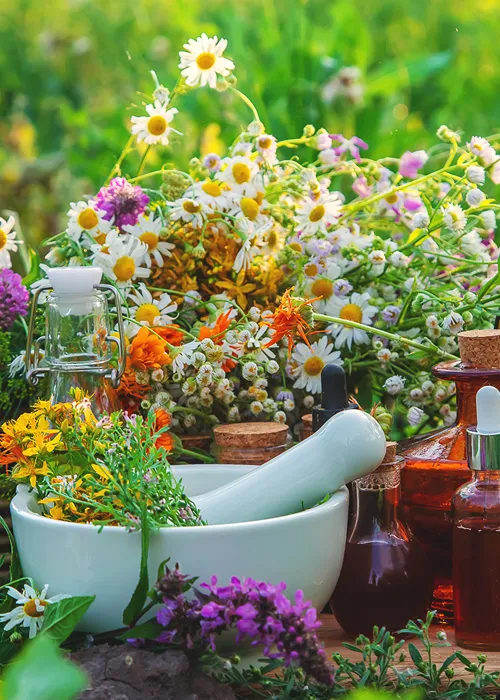 Naturopathy Retreats