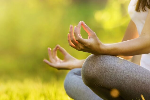 4 Days Kerala Holistic