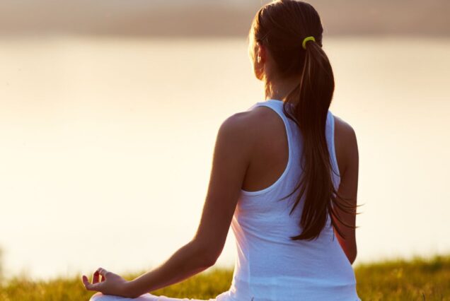 7  Days India Holistic Package