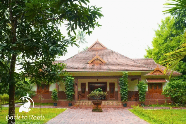 Back to Roots Ayurveda Retreat