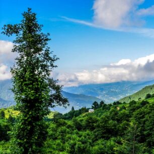 Parwanoo ,Himachal Pradesh