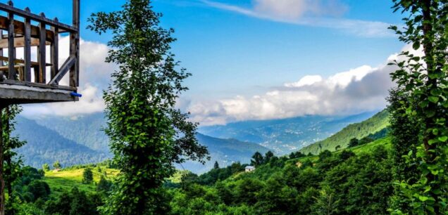 Parwanoo ,Himachal Pradesh