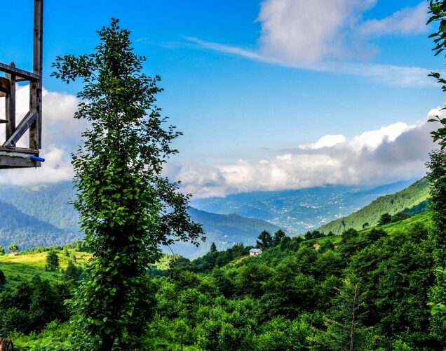 Parwanoo ,Himachal Pradesh