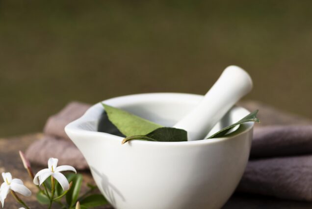 7 Days naturopathy retreat