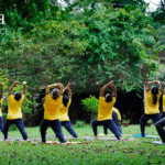 yoga teacher training