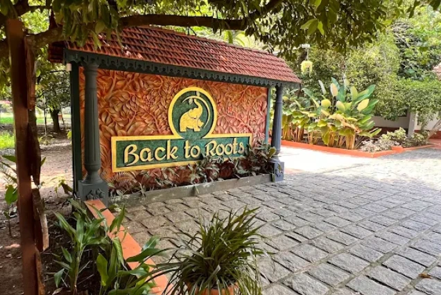 14-Night Detox at Back to Roots Ayurveda