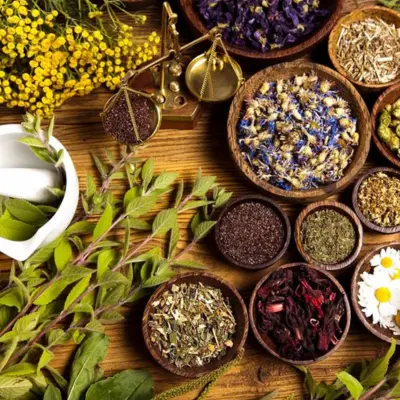 7 Days Naturopathy Detox at Prakriti Shakti