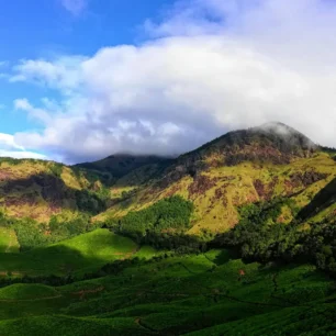 Idukki