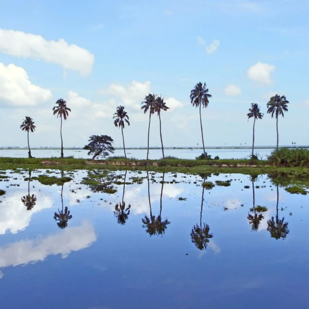 Kottayam