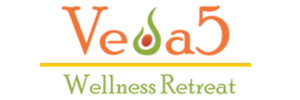 Veda5 Group Logo