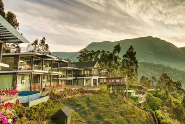 Chandys Drizzle Drops