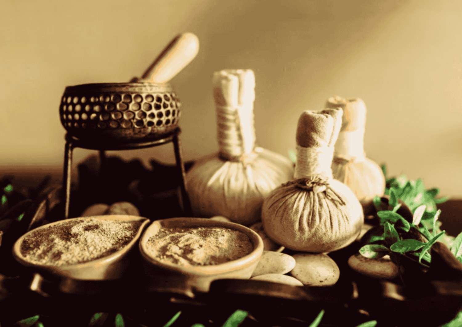 Panchakarma Treatment A Complete Guide to Kerala’s Signature Ayurvedic Detox