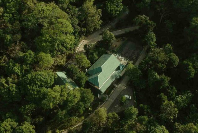 SHATAVARI MAKARA AYURVEDA HILL HAVEN IN NATUR